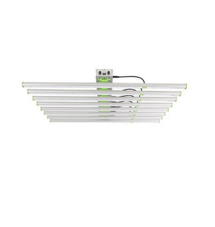 800W ha condotto l'orticoltura ha condotto la luce progressiva 8 barre di 380nm 760nm IP65