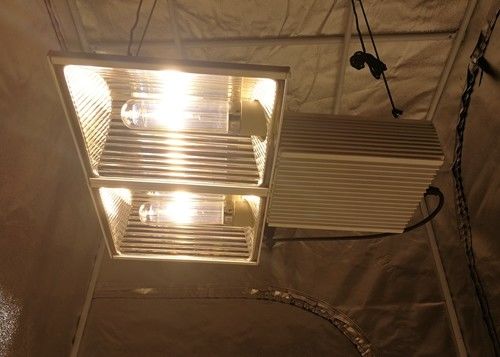 spettro completo 630W delle luci progressive di 580µmol/s 164ft CMH