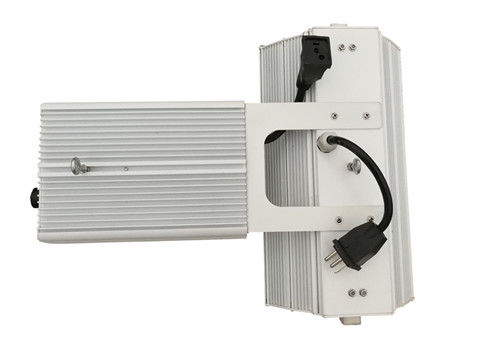 le luci progressive di 2000µmol/s 2100K CMH HANNO NASCOSTO un materiale di vetro 100HA da 1000 watt
