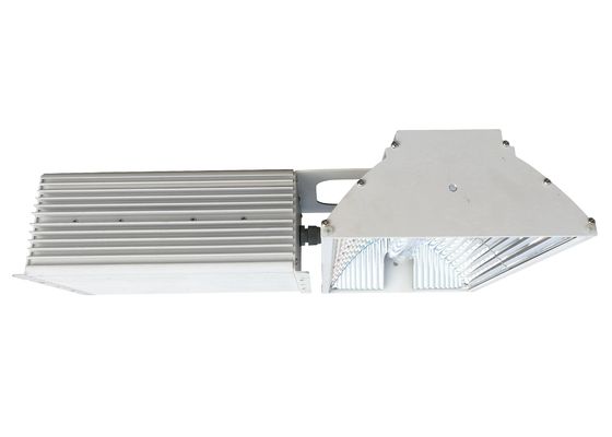 Il doppio NASCOSTO di 110V 115lm/W ha concluso la pianta delle luci progressive 750W che cresce per la marijuana medica