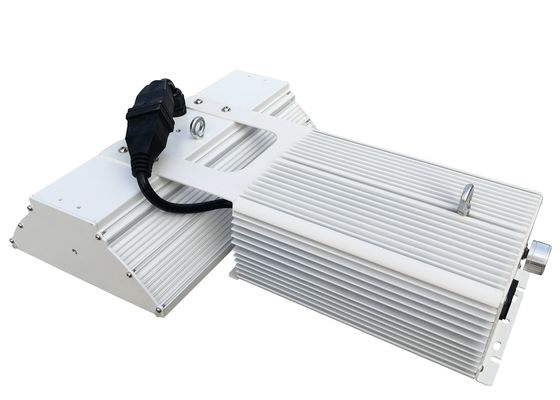 Il doppio NASCOSTO di 110V 115lm/W ha concluso la pianta delle luci progressive 750W che cresce per la marijuana medica