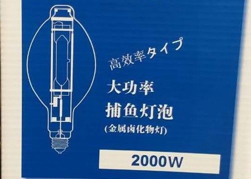 Lampada di pesca del calamaro dell'alogenuro del metallo NASCOSTA lampada del pesce della lampadina di BT220 2000w MH