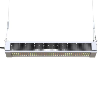 Luce progressiva completa Antivari esile, AL1100 luci progressive di spettro LED di RikoLite 240W di orticoltura LED