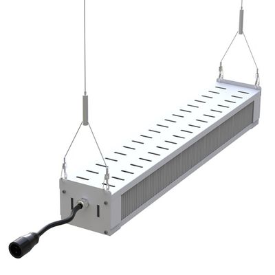 Luce progressiva completa Antivari esile, AL1100 luci progressive di spettro LED di RikoLite 240W di orticoltura LED