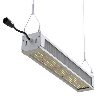 Luce progressiva completa Antivari esile, AL1100 luci progressive di spettro LED di RikoLite 240W di orticoltura LED