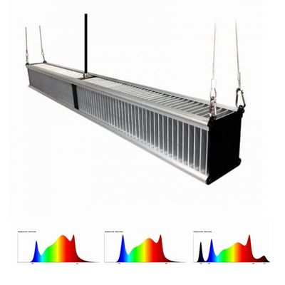 l'ibrido dell'orticoltura delle luci progressive della pianta di serra di 800w 2.7μMol/J ha condotto 1000w Antivari esile