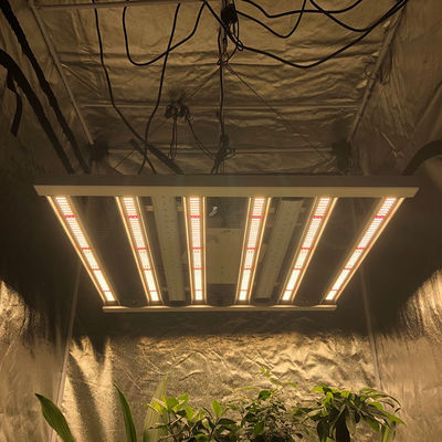 L'orticoltura centigrado 35 ha condotto le luci Antivari della colonna 2.6μMol/J delle luci progressive 480W 6