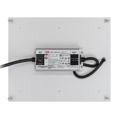 La coltura idroponica di RikoLite 100W 277vac ha condotto il bordo 167.3umol/S di Quantum delle luci progressive