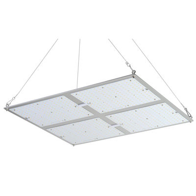 L'alto potere di Rikolite 400w ha condotto le luci progressive, luce progressiva idroponica della pianta 149.6m/W