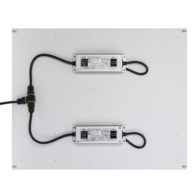 L'alto potere di Rikolite 400w ha condotto le luci progressive, luce progressiva idroponica della pianta 149.6m/W