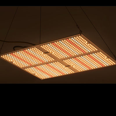 L'alto potere di Rikolite 400w ha condotto le luci progressive, luce progressiva idroponica della pianta 149.6m/W