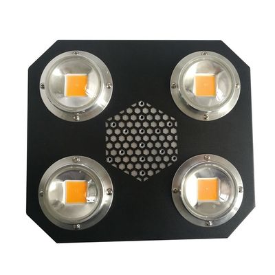 La pianta di Rikolite 780nm ha condotto le luci progressive Flip Cob Aluminum Alloy UV dell'interno AC855V