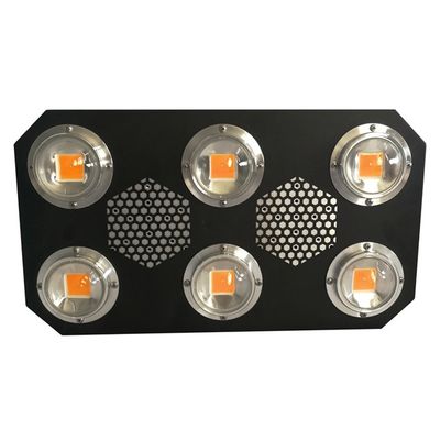 La pannocchia dell'orticoltura 4.2KGS ha condotto le piante d'appartamento 780nm della luce progressiva 300W
