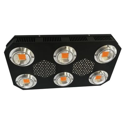 La pannocchia dell'orticoltura 4.2KGS ha condotto le piante d'appartamento 780nm della luce progressiva 300W