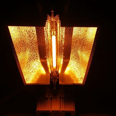 il doppio di 1000W HPS ha concluso la soluzione d'accensione telecomandata 2100umol/s delle luci progressive