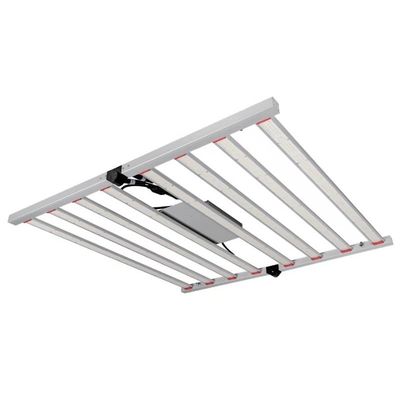 le luci progressive principali l'orticoltura di 720W 2.5umol/s, industriale di RikoLite hanno condotto le luci progressive