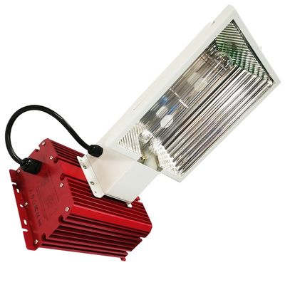 crescita di pianta completa delle luci progressive CMH 50Hz di spettro di 73148lm 630W