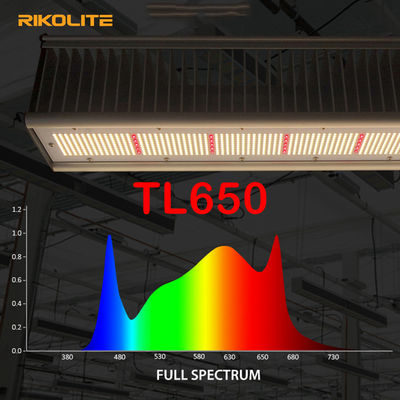 La serra PAR TL650 1755umol/S ha condotto le luci progressive 630W per Veg/fiore