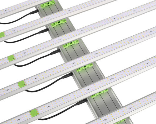 luci progressive di 600W 1560μ Mol Plant LED 6 barre di EPAR 380nm-760nm