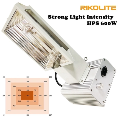 Pro 600W HPS luce progressiva della bava di vento ad alta intensità per la serra