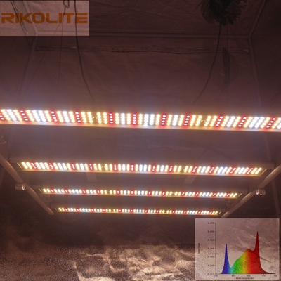 La galassia 2835SMD LED 240W 4 esclude le luci progressive pieghevoli 0 della pianta - 10V Dimmable