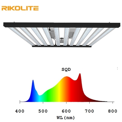 luci progressive principali agricole 2000umol/s di spettro completo 1000W