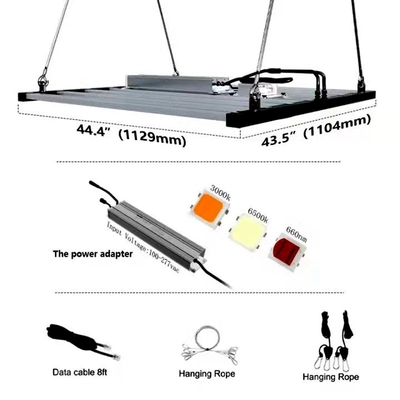 2000umol/S luce progressiva Antivari principale 1000 watt ha condotto le strisce della luce progressiva per l'agricoltura verticale