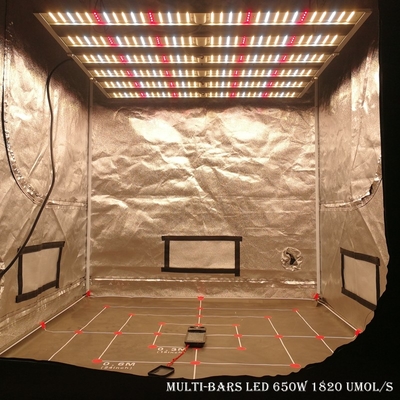 RikoLite 650W 1820umol/S 6 barre di luci progressive della serra LED