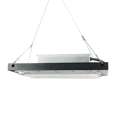 120w le luci progressive 3500k Dimmable IP65 di coltura idroponica LED hanno valutato impermeabile
