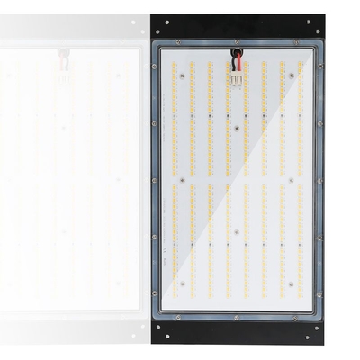 120w le luci progressive 3500k Dimmable IP65 di coltura idroponica LED hanno valutato impermeabile