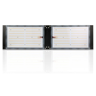 Bordo impermeabile di IP65 LED Herb Grow Light 240W SAMSUNG Quantum per agricolo