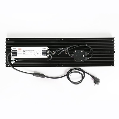 Bordo impermeabile di IP65 LED Herb Grow Light 240W SAMSUNG Quantum per agricolo