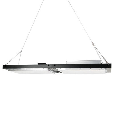 Bordo impermeabile di IP65 LED Herb Grow Light 240W SAMSUNG Quantum per agricolo