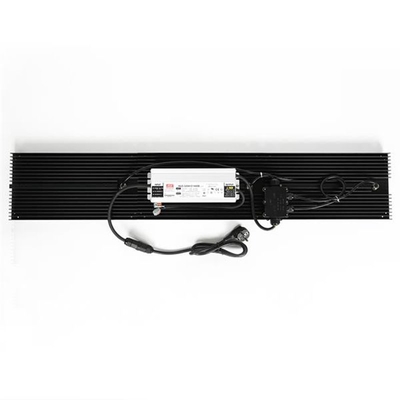 Spettro completo delle luci progressive IP65 320w di Quantum LED di coltura idroponica per la verdura