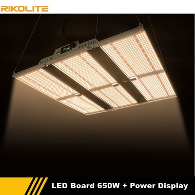 Bordi delle luci progressive 650w Quantum di orticoltura LED di Rikolite con la funzione dell'esposizione di potere