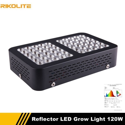 luci progressive della pianta d'appartamento di 120w 510umol, idro luci progressive di spettro completo