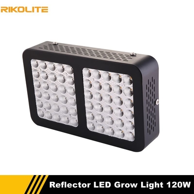 luci progressive della pianta d'appartamento di 120w 510umol, idro luci progressive di spettro completo