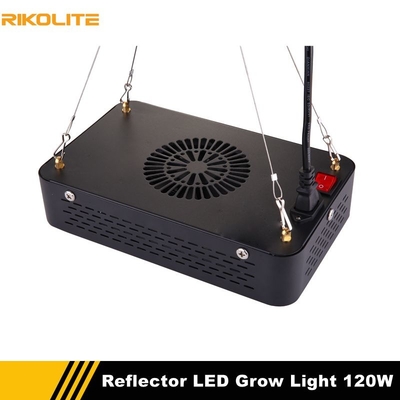 luci progressive della pianta d'appartamento di 120w 510umol, idro luci progressive di spettro completo