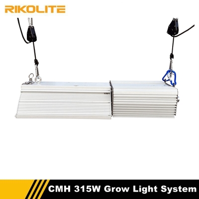 Alogenuro ceramico Cmh, illuminazione idroponica del metallo di GrowBetter della luce progressiva di 315w Cmh