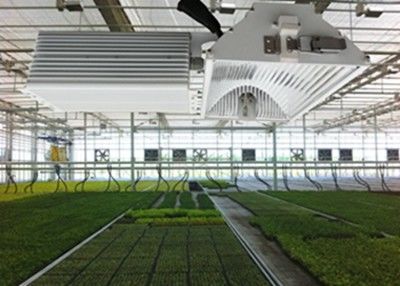 le luci progressive del LED NASCOSTE 1050µMol/S, 630W pota la luce progressiva ceramica dell'alogenuro del metallo