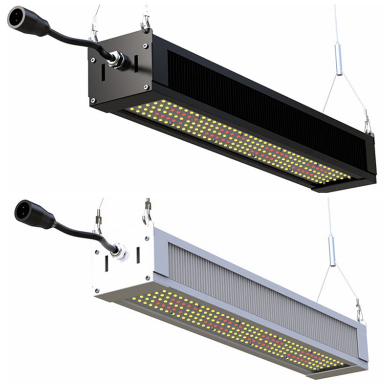 Luce progressiva completa Antivari esile, AL1100 luci progressive di spettro LED di RikoLite 240W di orticoltura LED