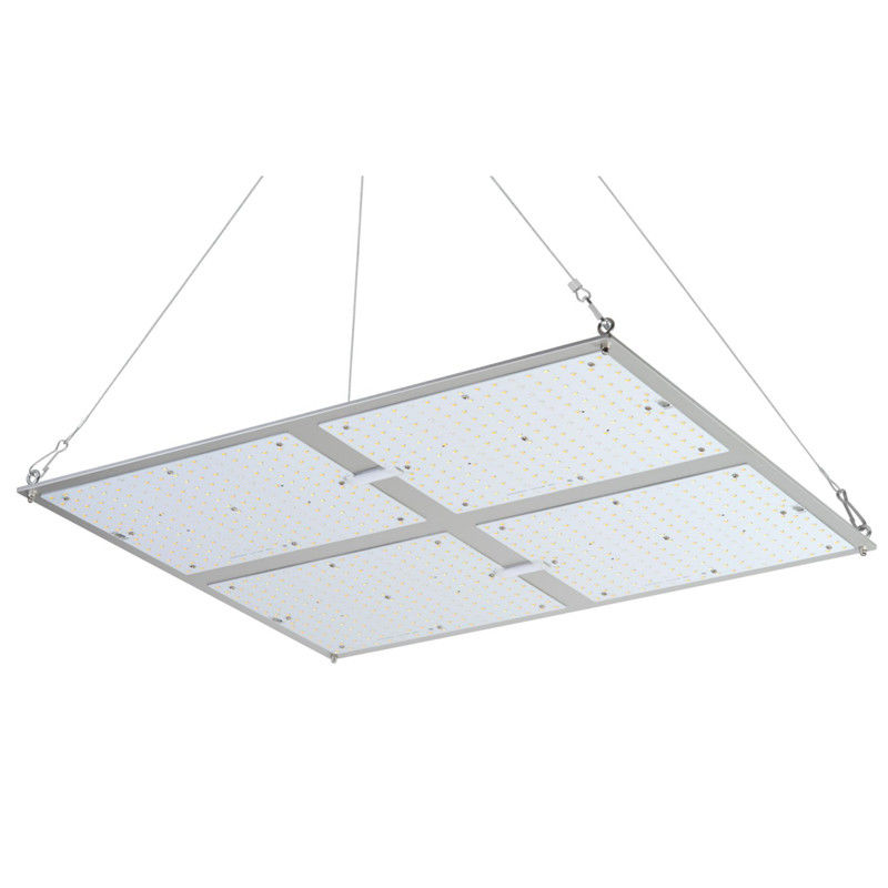 L'alto potere di Rikolite 400w ha condotto le luci progressive, luce progressiva idroponica della pianta 149.6m/W