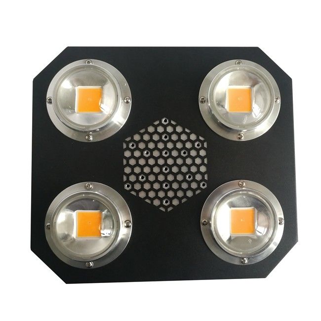 La pianta di Rikolite 780nm ha condotto le luci progressive Flip Cob Aluminum Alloy UV dell'interno AC855V