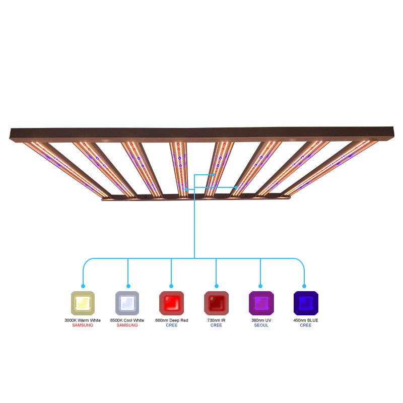 le piante d'appartamento di 960w 1000w hanno condotto le luci progressive per 6x6 copertura Samsung LM301B